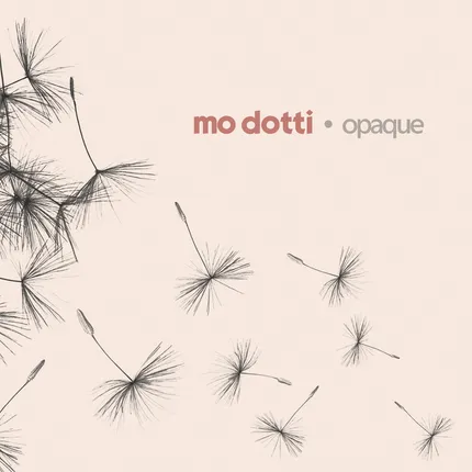 Mo-Dotti.jpeg Mo-Dotti.jpeg